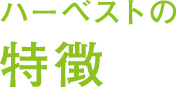 特徴